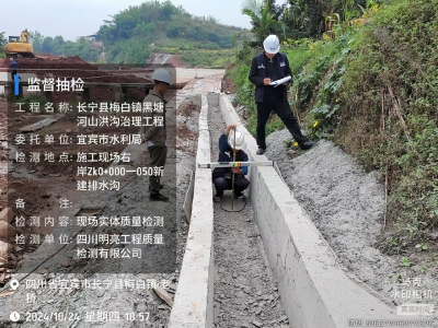 宜賓市水利局2024年水利工程監督檢測